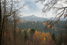 Burgruine Flossenbürg im Spätherbst / Burgruine Flossenbürg im Spätherbst. Die Burgruine befindet sich im Oberpfälzerwald/Bayern in der Nähe von der Tschechischen Grenze.