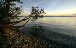 Abend / ***