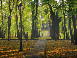 Herbst in der Stadt / ***