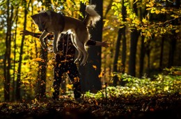 vor Freude in die Luft springen / habe mit meinem Hund den letzen Tag von Herbst miterlebt ..Normalerweise erlebe ich meistens die schönste Momenten wenn ich meine Kamera nicht dabei habe, aber diesesmal hatte ich sie mit :). Außerdem seit 3 Jahren habe ich nicht geschafft Bilder von Herbst zu machen und ich war immer traurig als ich gesehen habe, dass der Herbst Farben von dem kalten Winter runter gebracht sind und ich kein Foto zu Erinnerung hatte. Zum Glück habe jetzt paar schöne Fotos für die kalte Jahreszeit.