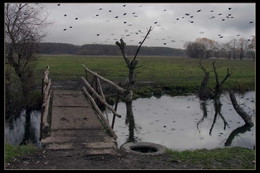 Brücke / ***