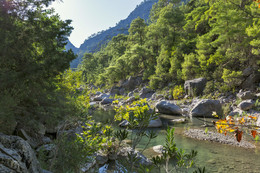mountain River / ***