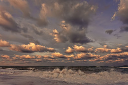 surfen / ***