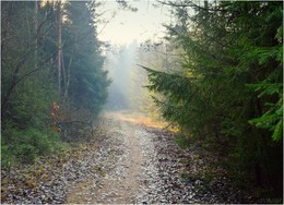 Forststraße / ***
