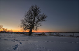 Sonnenuntergang im Winter / ***