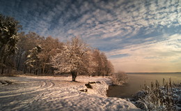 Winter Beach / ***