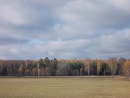 Herbst / ***