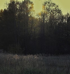Abend / " " "