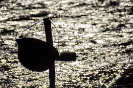 Meditation / ***