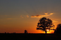 Bei Sonnenuntergang / ***