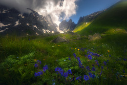 Touch of light / ...