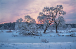 frostigen Morgengrauen / ***