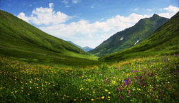 Sommer in den Bergen / ***