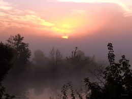 Dort, hinter dem Nebel ... / ***
