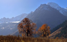 Herbst / ***
