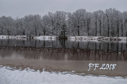 PF-2018 / ***