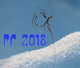 PF-2018 / ***