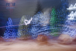 PF-2018 / ***