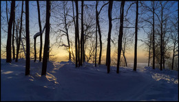 Morgen in den Wald / ***
