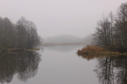 Misty Januar / ***