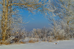 Winterlandschaft / ***