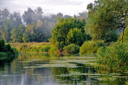 Morgen Fluss / ***