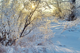 Sonnenuntergang / ***