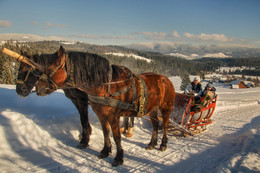 Winterspaß / ***