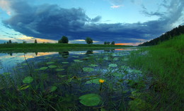Von einem Sommerabend / ***