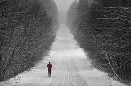 im Nebel / ***