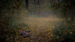 Herbst im Park. / ***