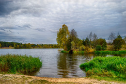 Forest Lake / ***