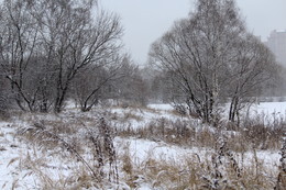 schneit / ***