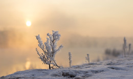 Winternebel / ***