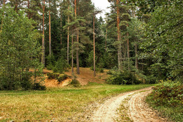 Forststraße / ***