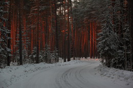 Sonnenuntergang im Winter / ***