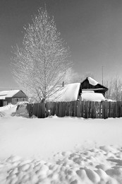das Dorf / ***