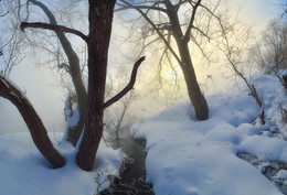 Winternebel / ***
