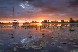 Boat. / ***