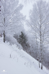 den Zauber des Winters / ***