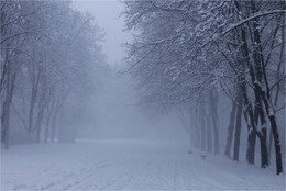 Winter / ***