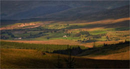 ...somewhere in Mayo... / ***