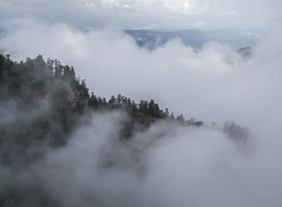 Misty Minimalismus / ***