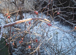 Winterflugplan / ***