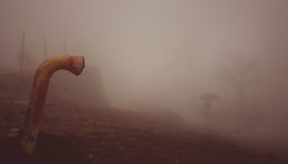 Fog / Fog