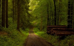 Letzte Tage des Sommers / ***
