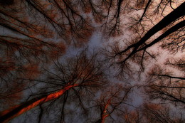 Runaround Herbst / ***
