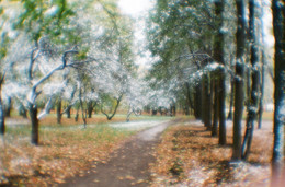 Der erste Schnee / ***