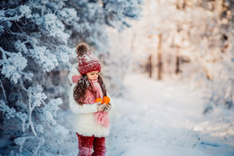 Wintermärchen / ***