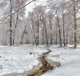 Forest River / ***